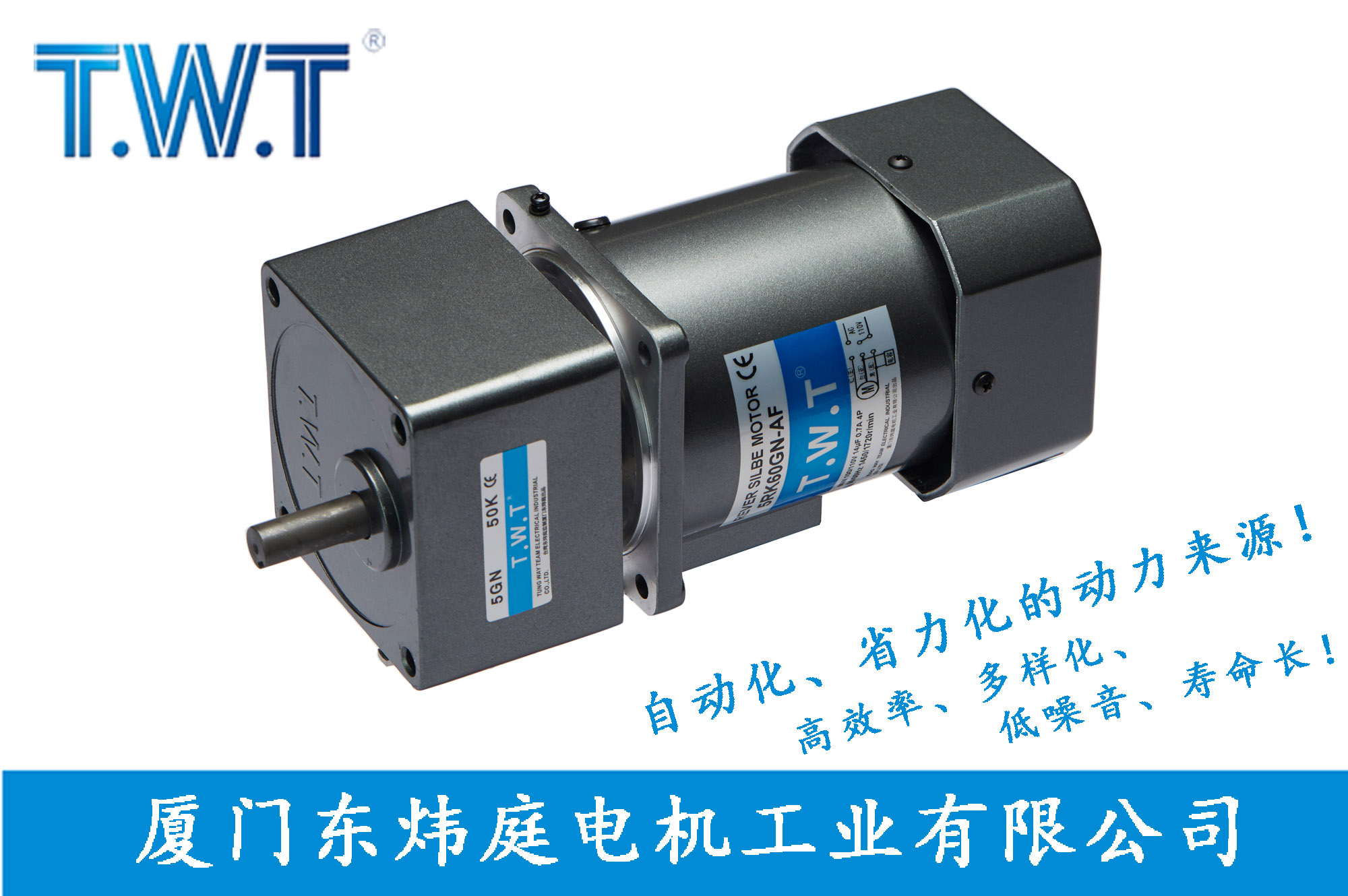 TWT-Reversible motor